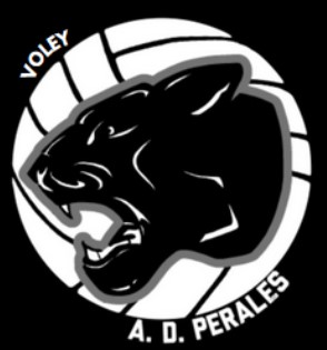 Agrupación Deportiva Perales Del Río - A.d.perales